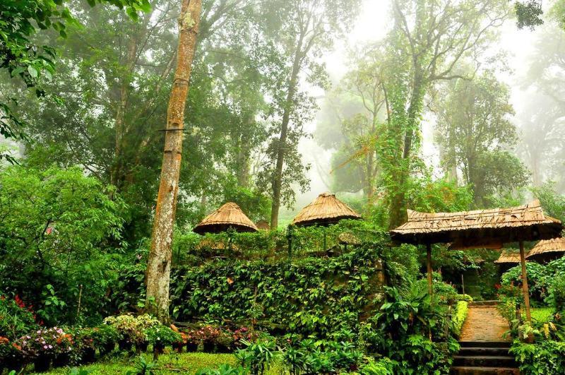 The Tall Trees Munnar Zewnętrze zdjęcie