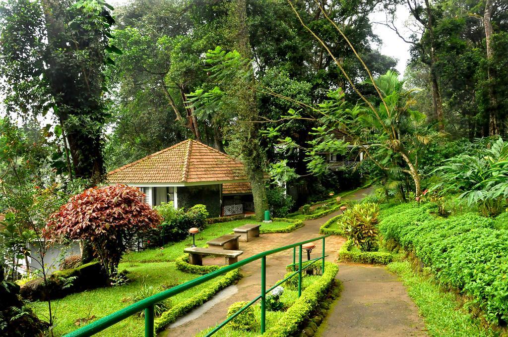 The Tall Trees Munnar Zewnętrze zdjęcie