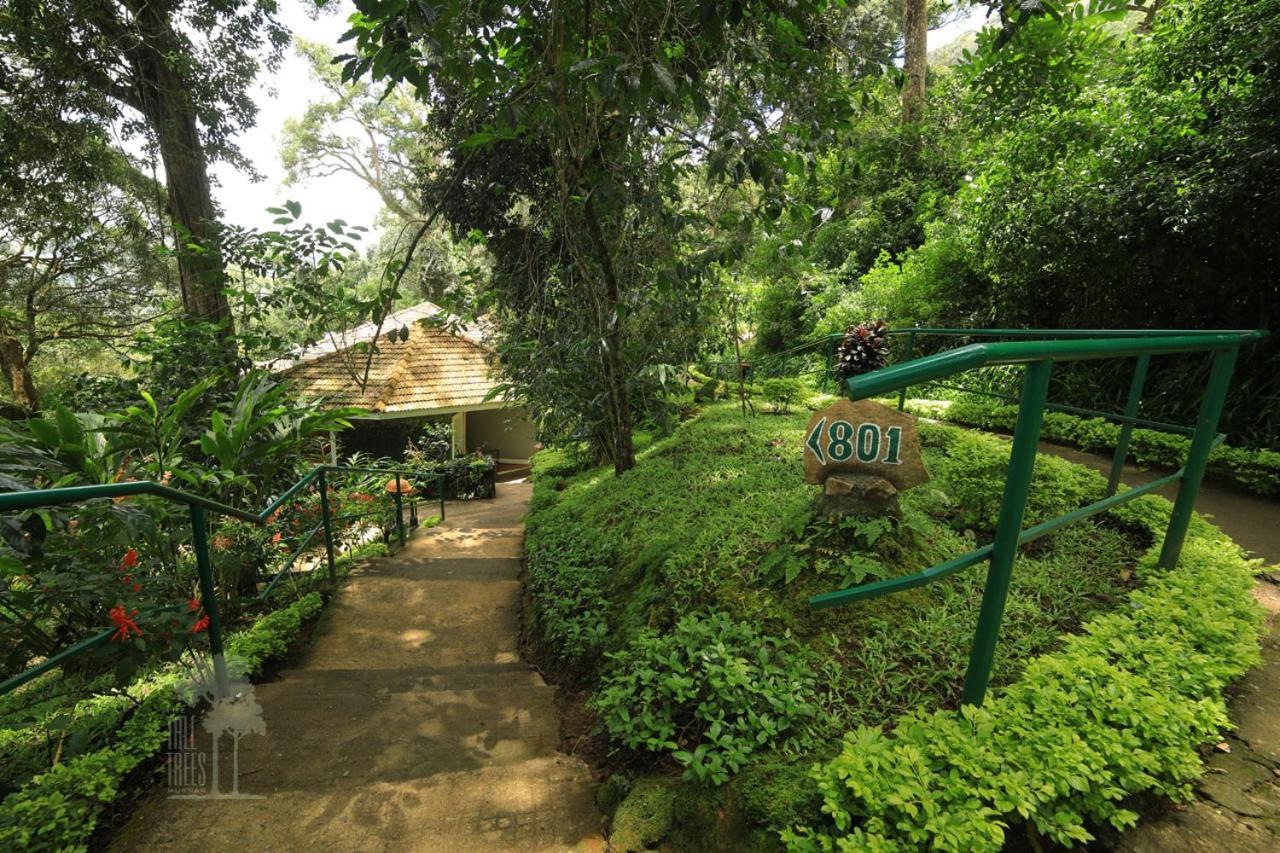 The Tall Trees Munnar Zewnętrze zdjęcie