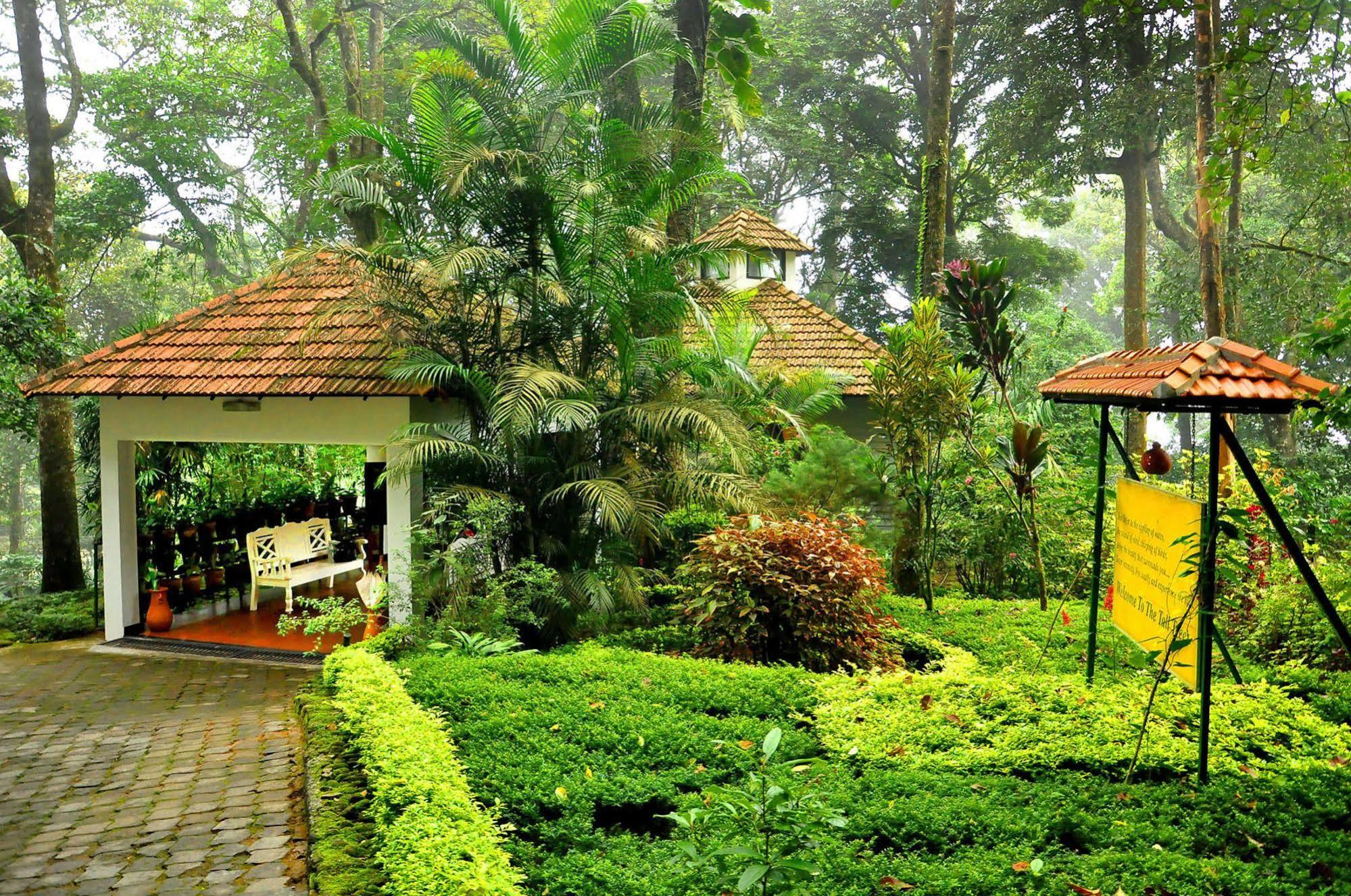 The Tall Trees Munnar Zewnętrze zdjęcie