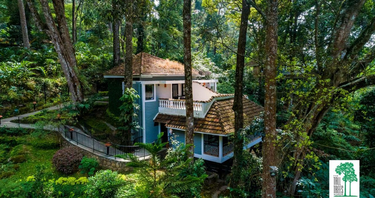 The Tall Trees Munnar Zewnętrze zdjęcie